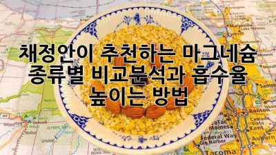 채정안이 추천하는 마그네슘: 종류별 비교분석과 흡수율 높이는 방법