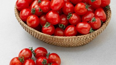 빵칼 토마토 슬라이스? 이거 써보니 인생템 될 뻔했어요!🍅🔪